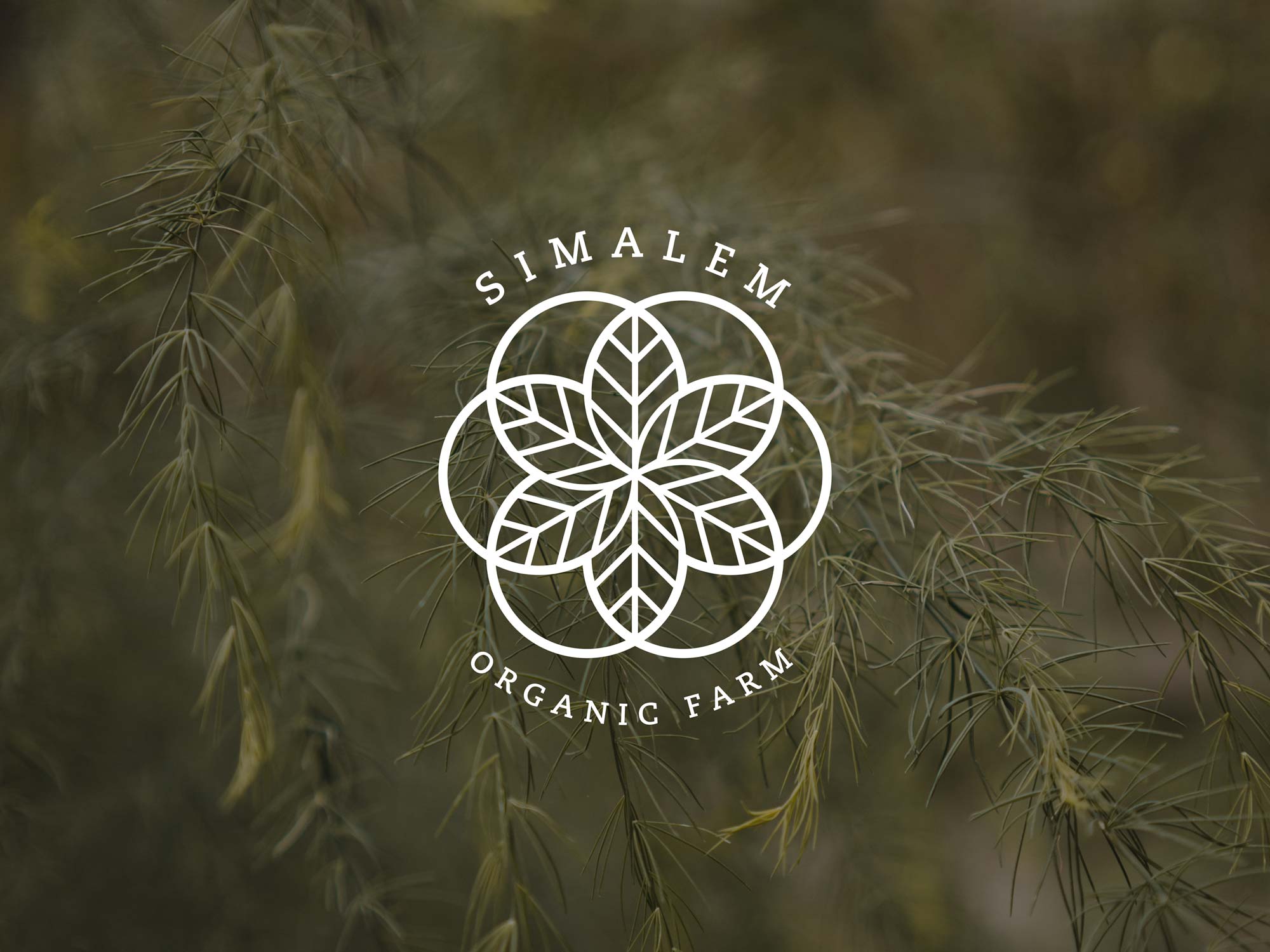 Simalem Organic image