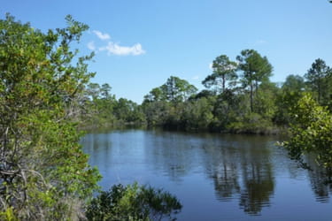 Old Fort Bayou