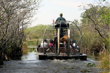 Airboat Tour