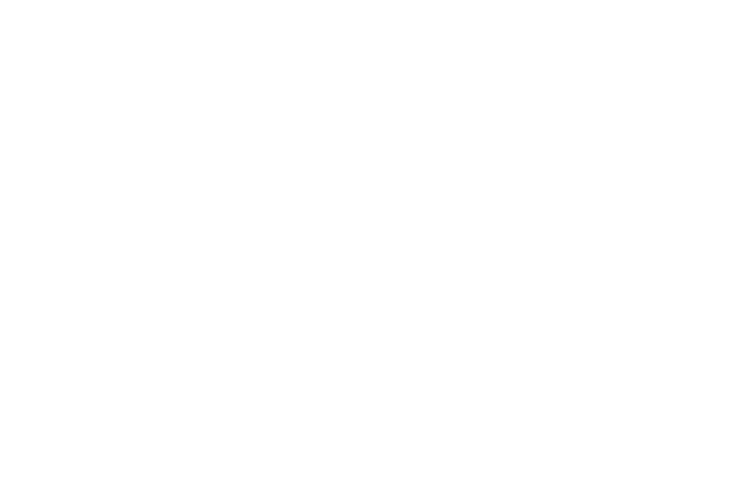 Microsoft Partner XPINION GmbH