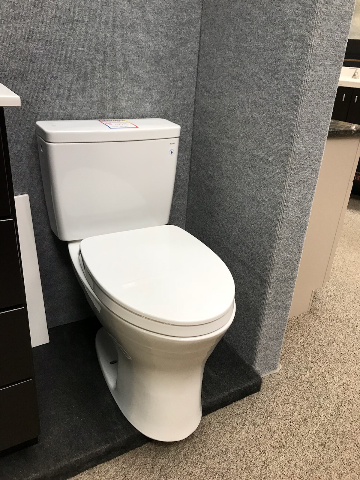 Toto toilet Drake