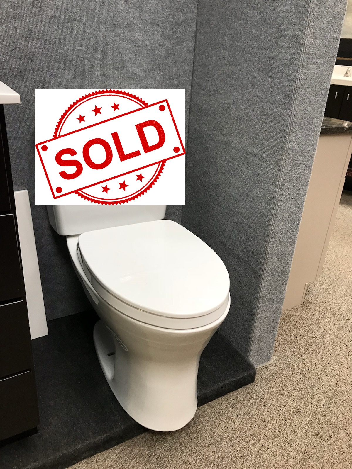 Toto toilet Drake