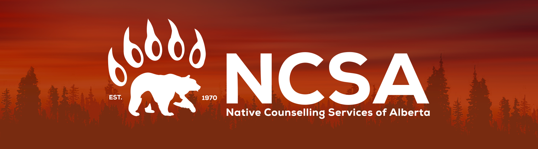 NCSA Feature Logo