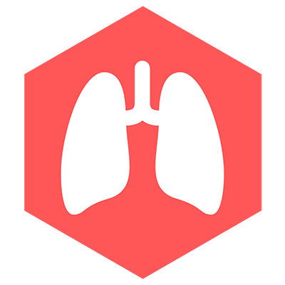 Respiratory Icon