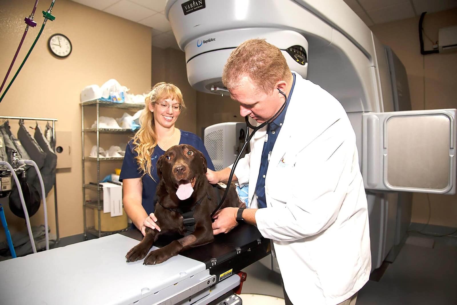 Veterinary Radiation Vet Oncologists In Gilbert, AZ