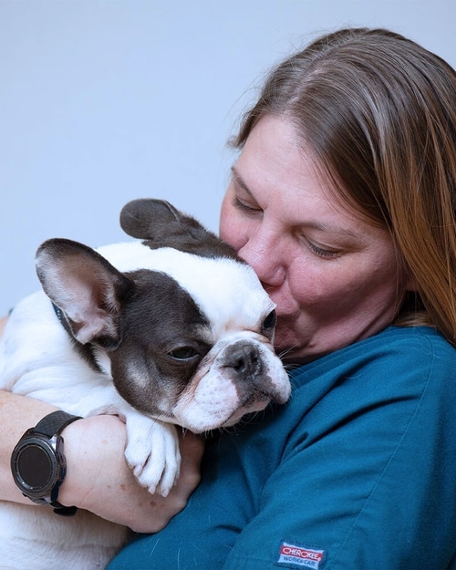 Meet Our Veterinary Oncology Team In Gilbert AZ Arizona Veterinary