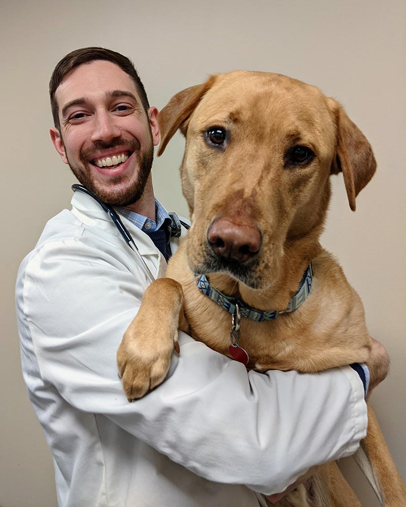 Dr. Arkans