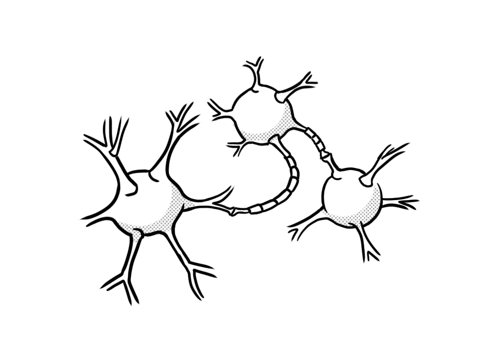 didask formations elearning sciences cognitives lexique