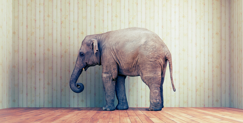 The Elephant in the Room