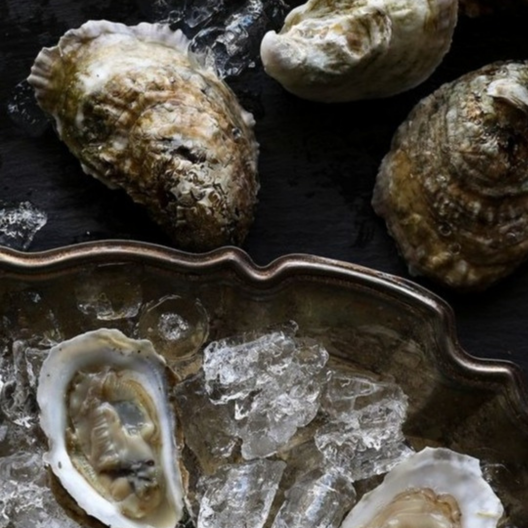 The OysterLux Experience (Saturday 6–9pm)