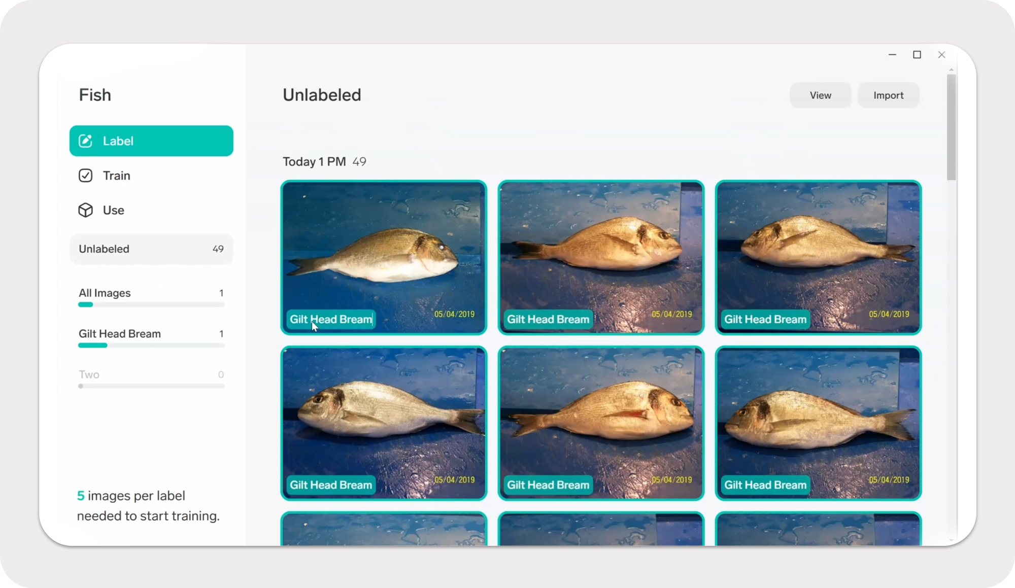 Lobe screenshot - a Microsoft tool for image classification
