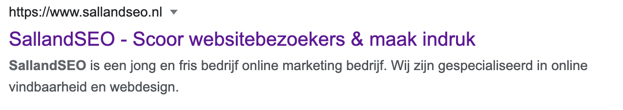 Meta-description in de Google zoekmachineresultatenpagina