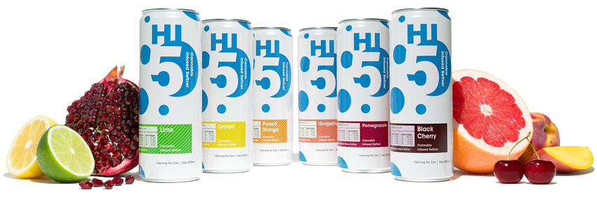 Hi5 portfolio surrounded by fruit