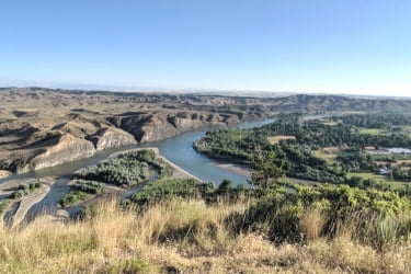 Four Dances View