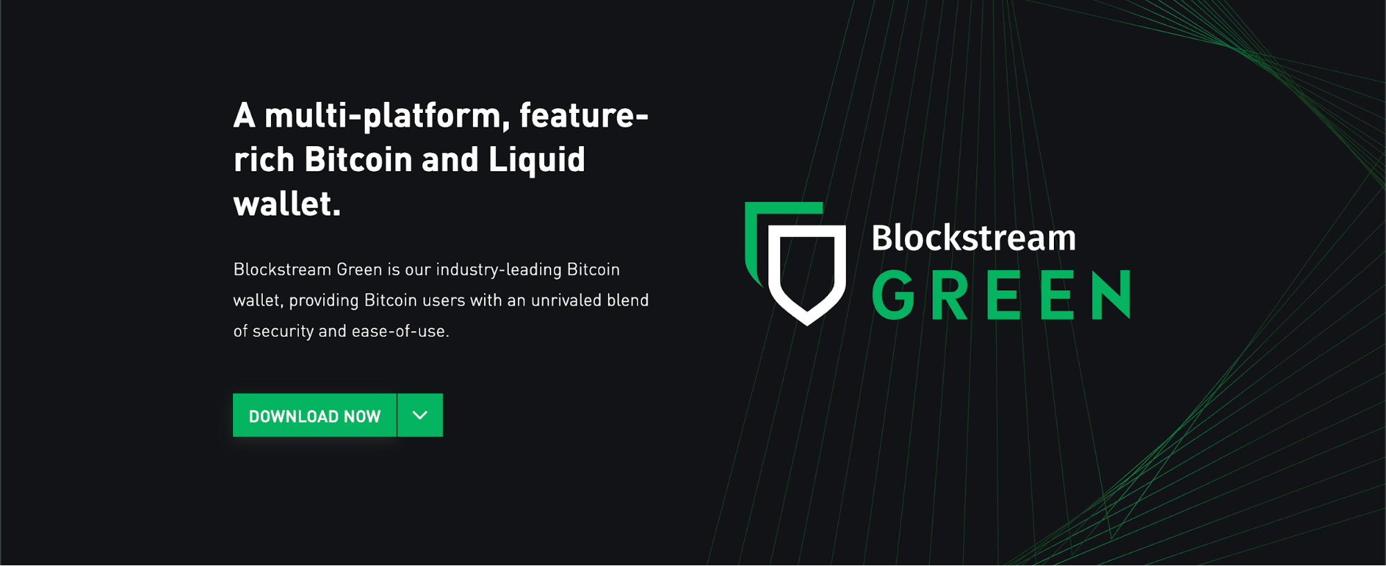 Blockstream Green Wallet Review Fees App Details CoinBeast Wallet