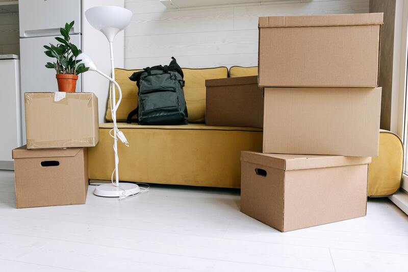 Cartons d'un déménagement d'entreprise, plantes posée dessus, luminaire blanc et canapé jaune avec un sac à dos posé dessus