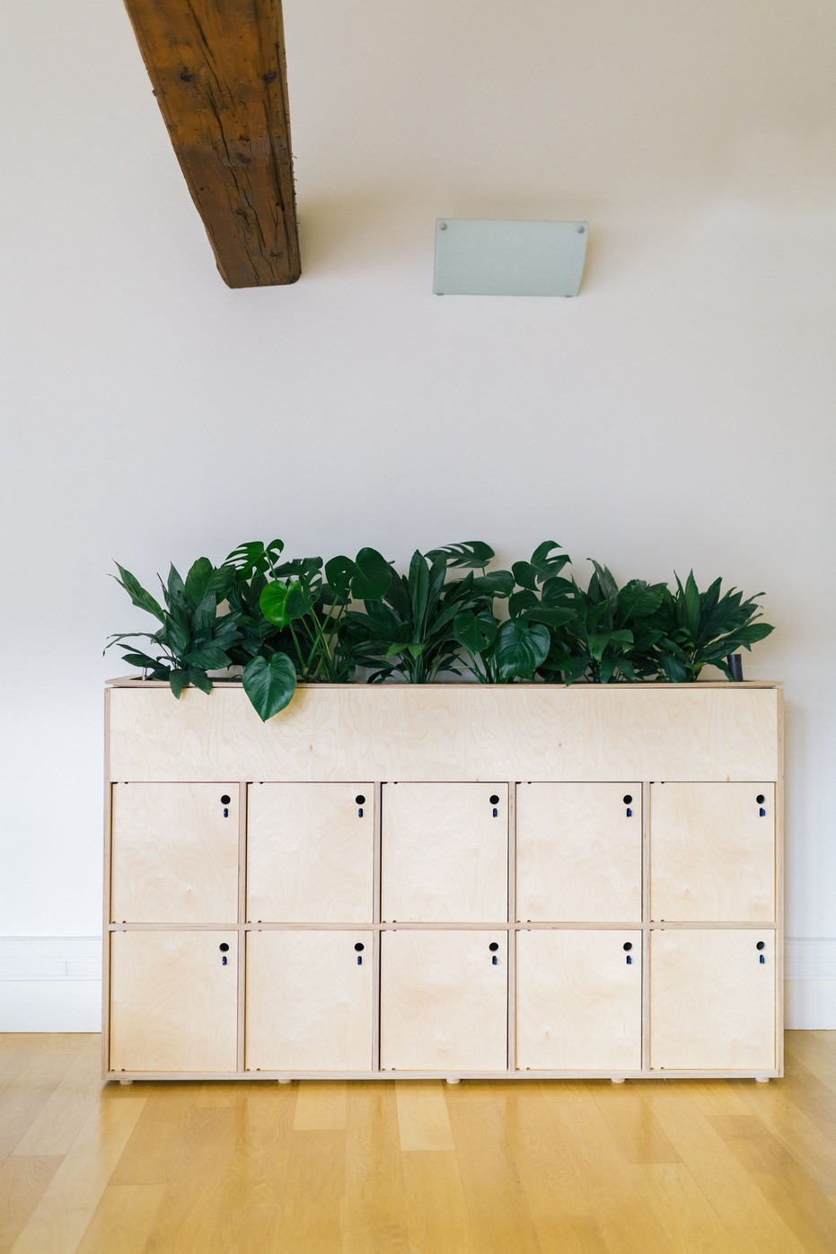 Meuble avec casiers de rangement et un bac à plantes avec des plantes vertes