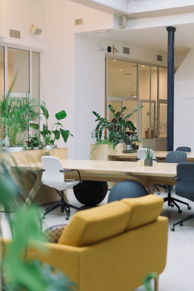 Espace de travail en open space avec un bench, un canapé, des rangements et des plantes vertes