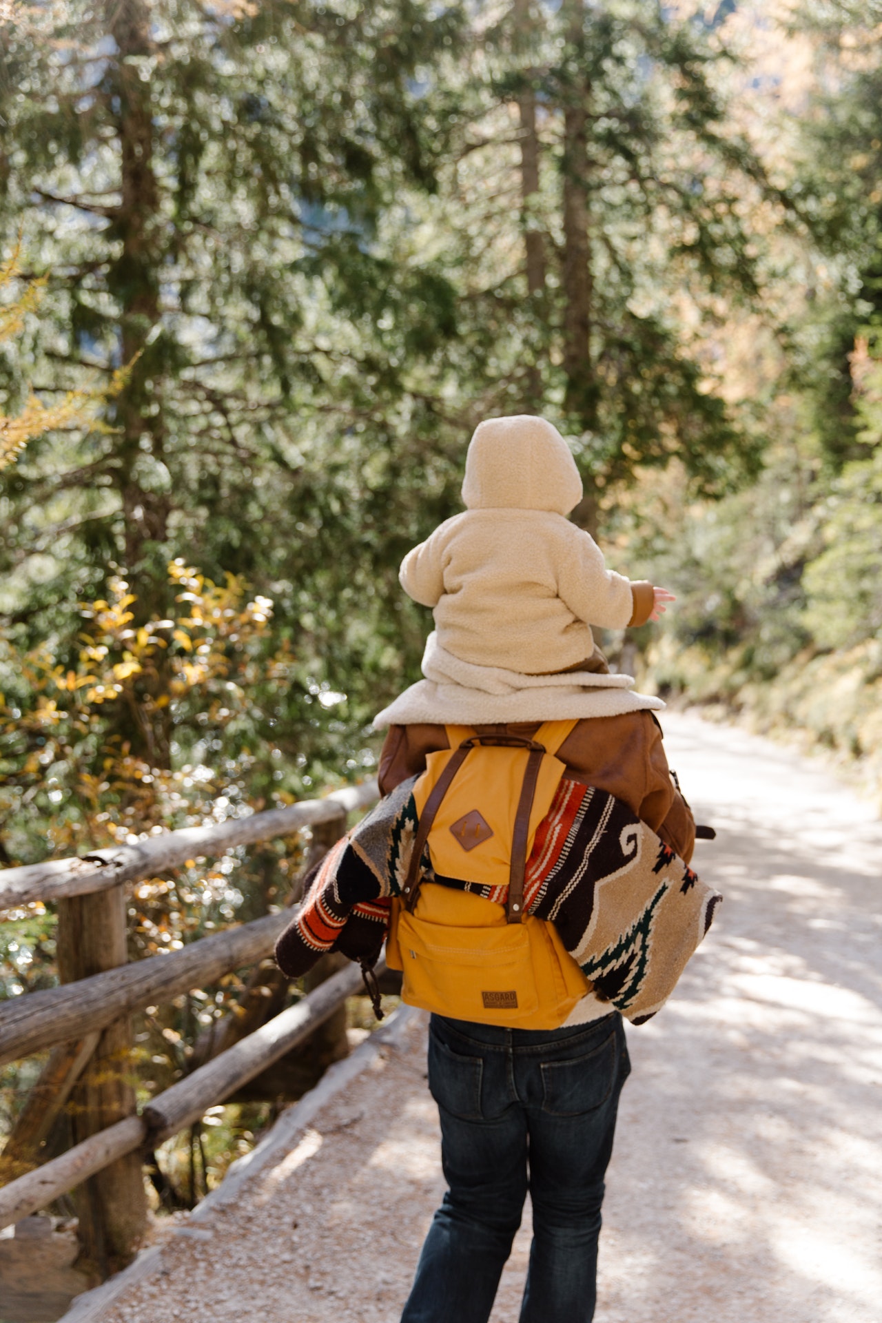 people wood forest trekking