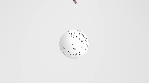 Animation