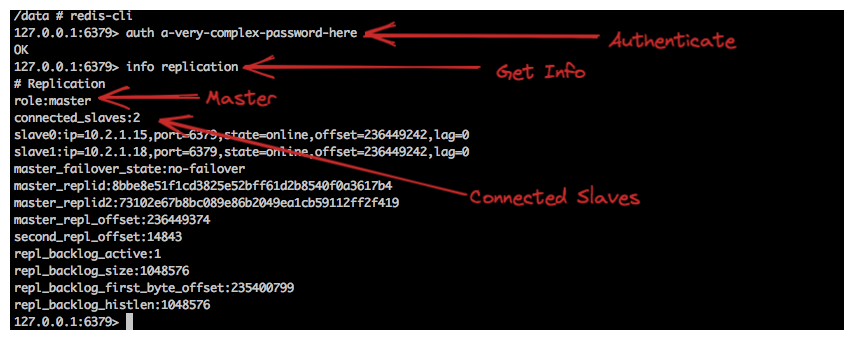 Redis Master POD information