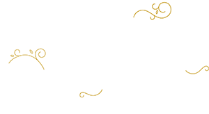 Artisan Website Company logo