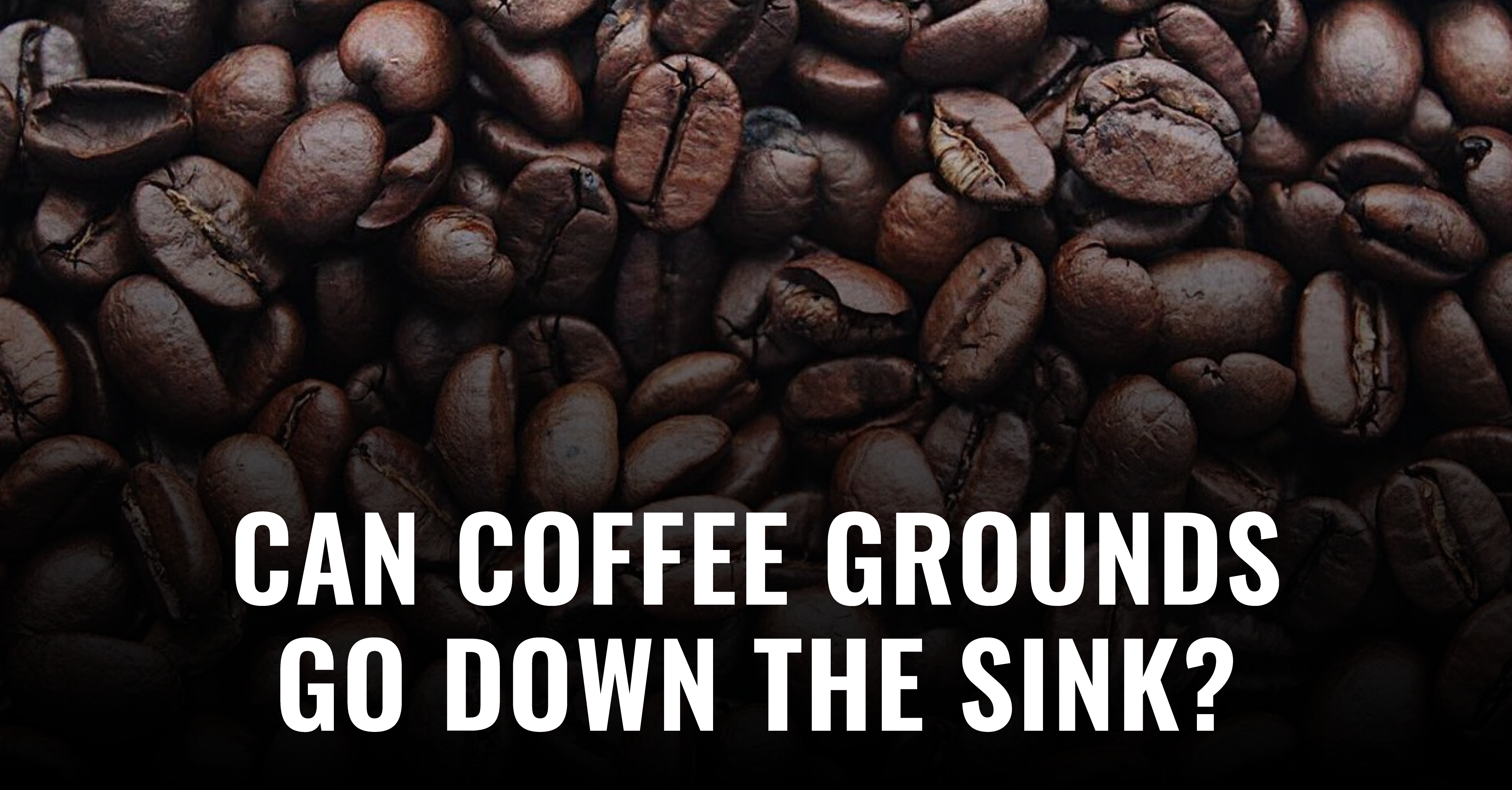 Can I Pour Coffee Grounds Down the Sink?