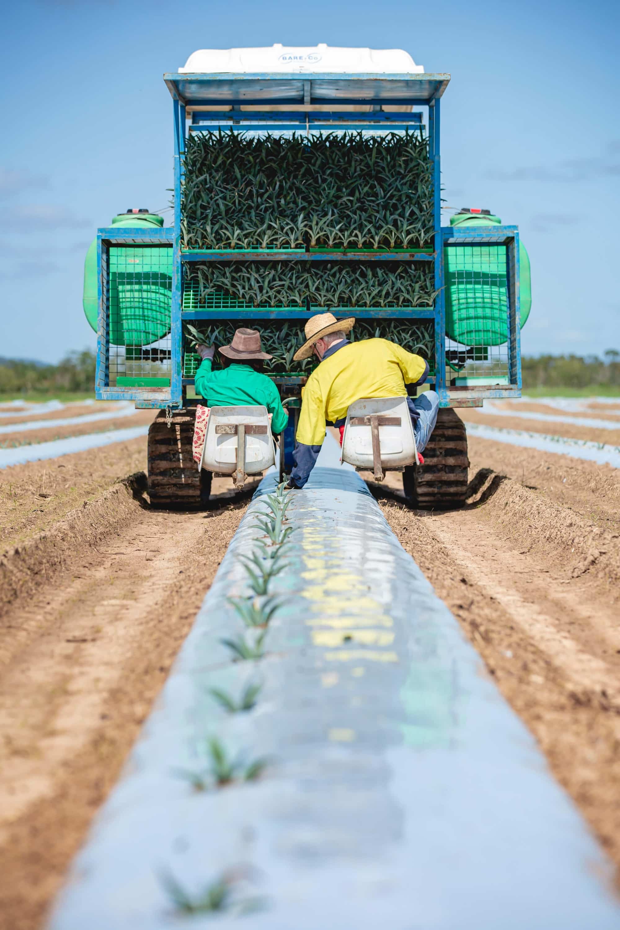 Assets Top Shelf International