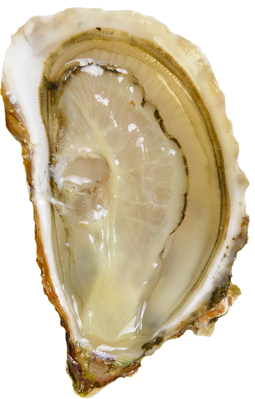 Recipes Armstrong Oysters Eat Oysters, Love Longer