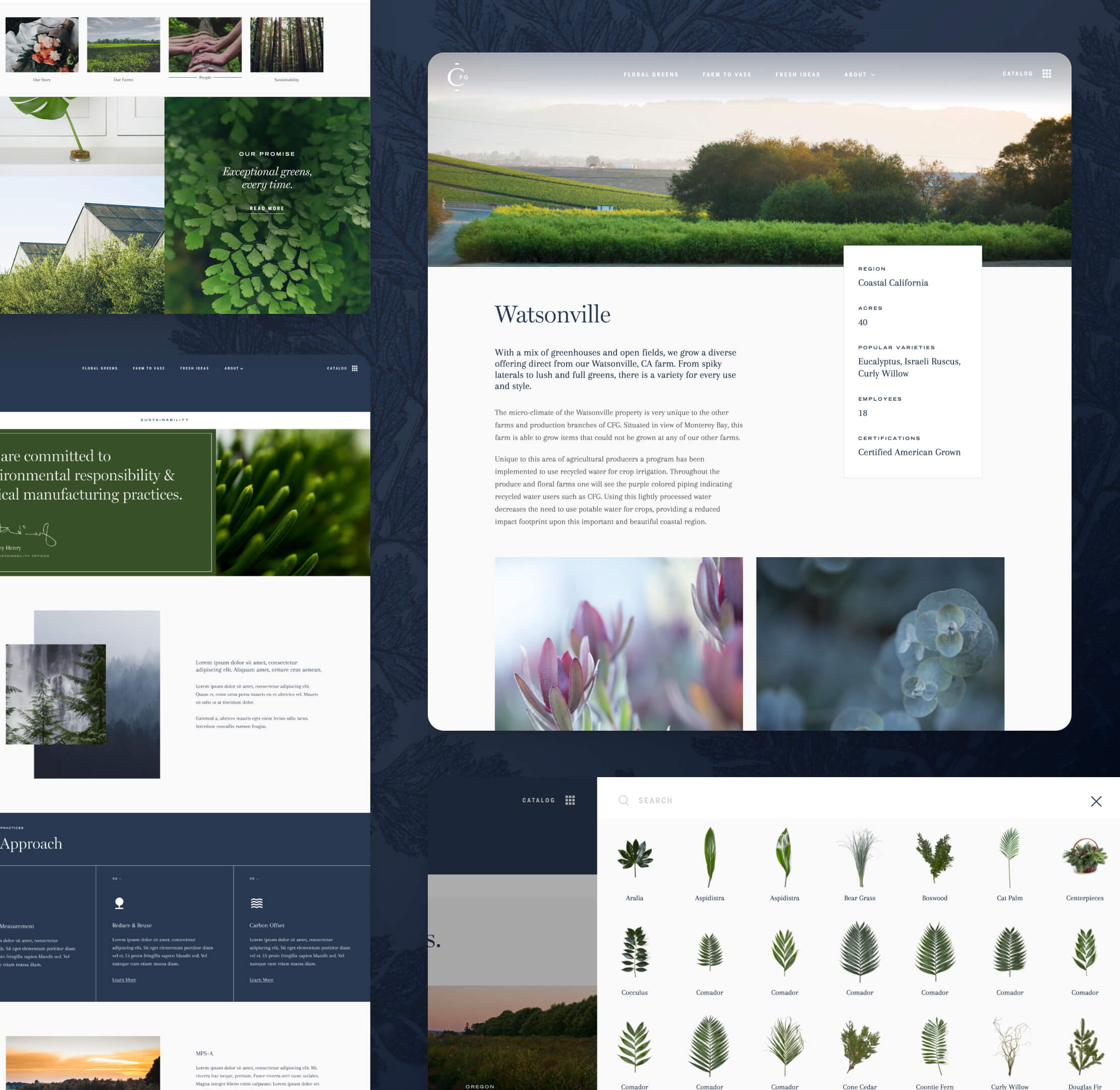 Various screen captures of Continental Floral Green's website interior pages.