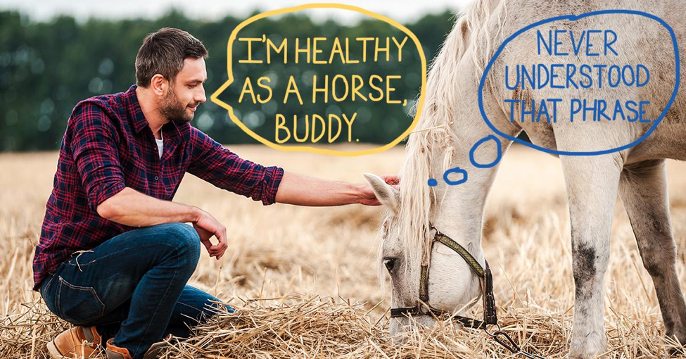 manandhorse.png