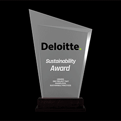The Sustainability Award sponsored by Deloitte Digital