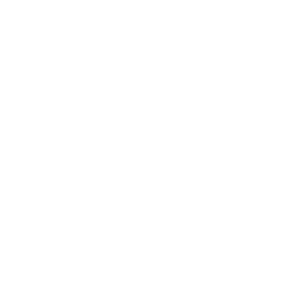 White Memorable Aviation Logo