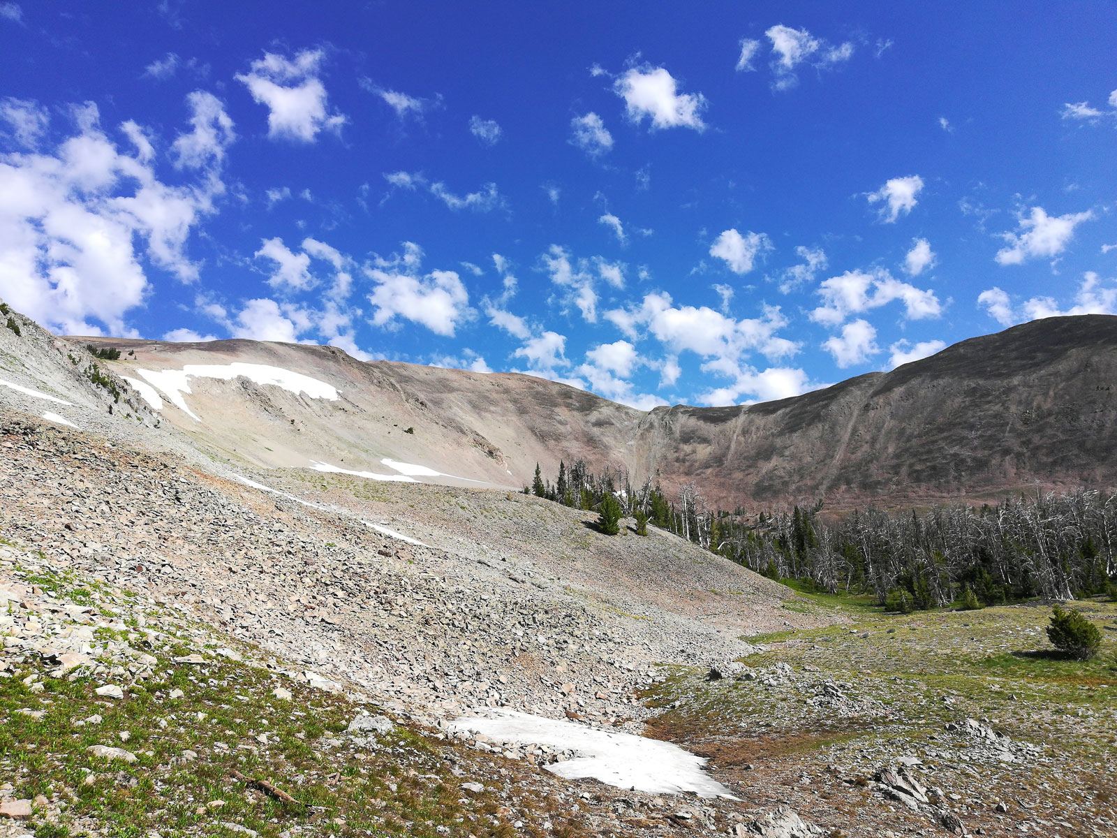 Tree line on the trail to Avalanche Peak in Wyoming's Yellowstone National Park