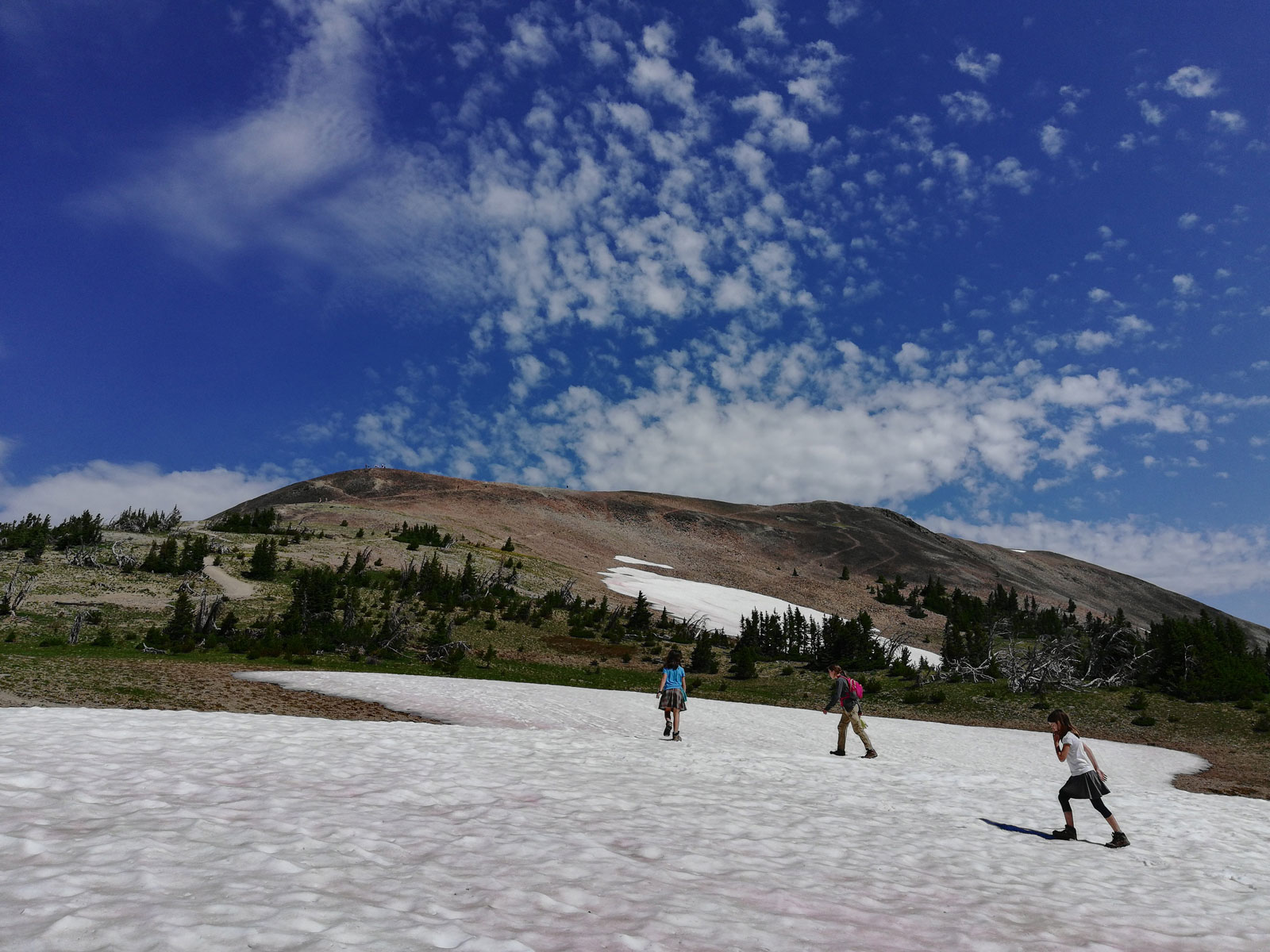 Snowpack on the trail to Avalanche Peak in Yellowstone National Park