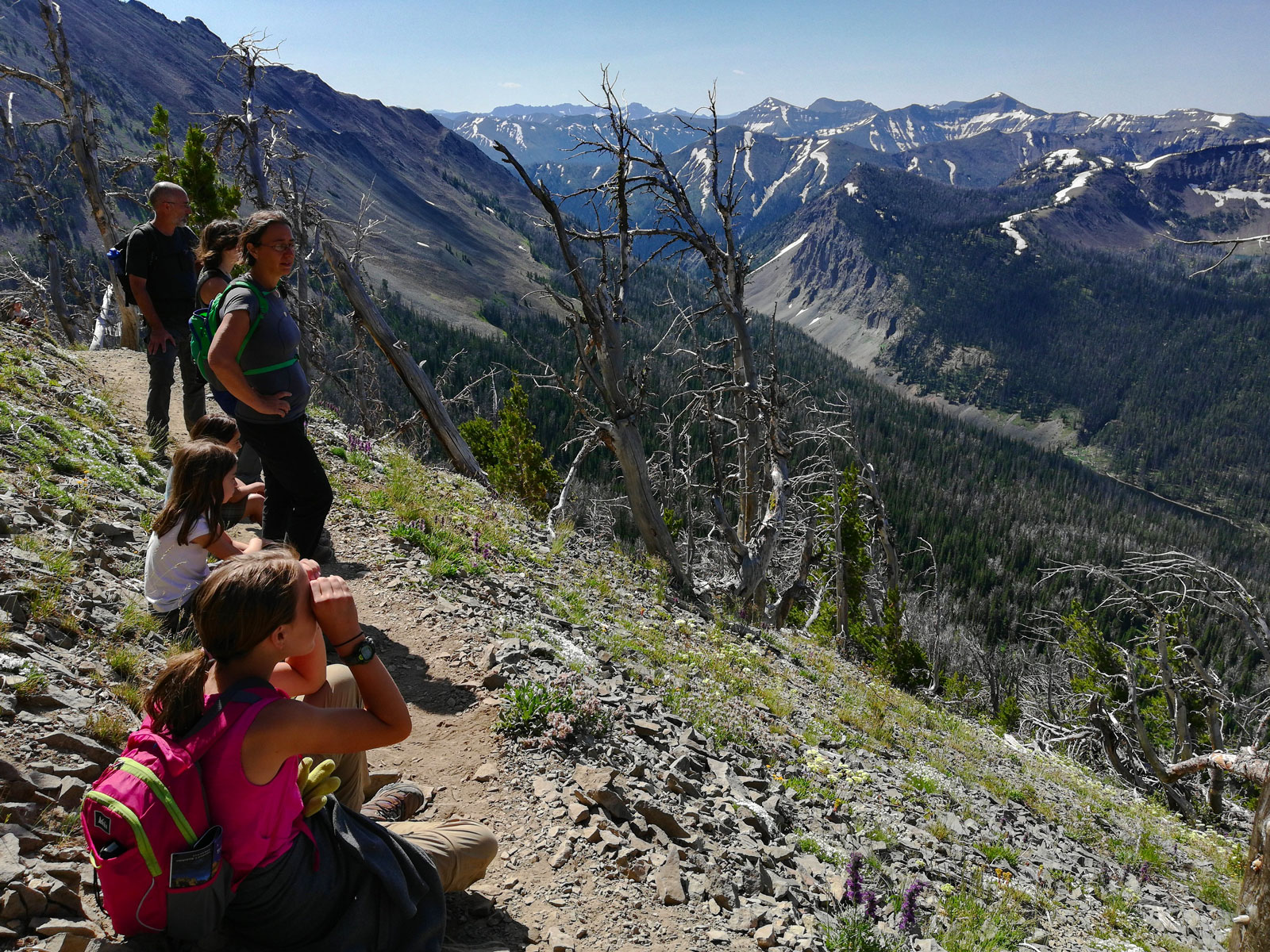 Family overlooking the Absaroka Range on the trail to Avalanche Peak