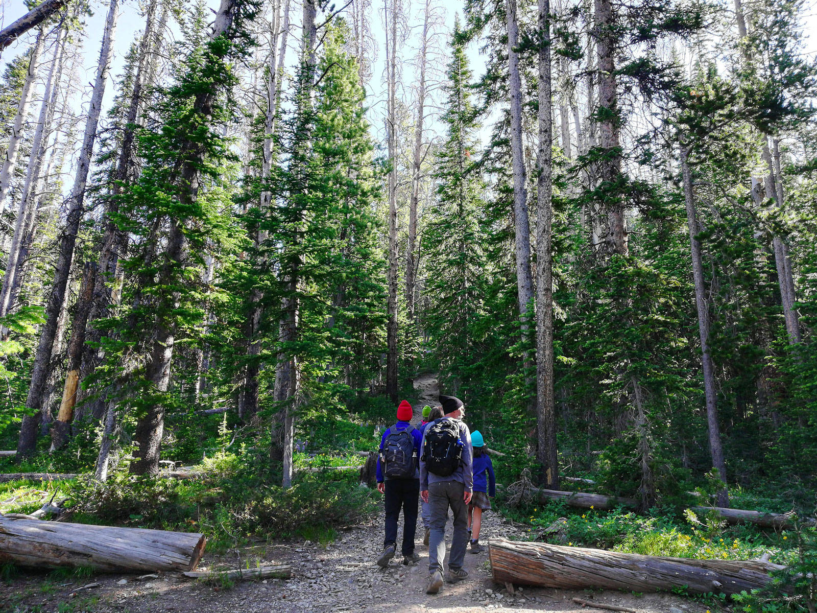 Family at the trailhead of the Avalanche Peak Trail in Yellowstone National Park