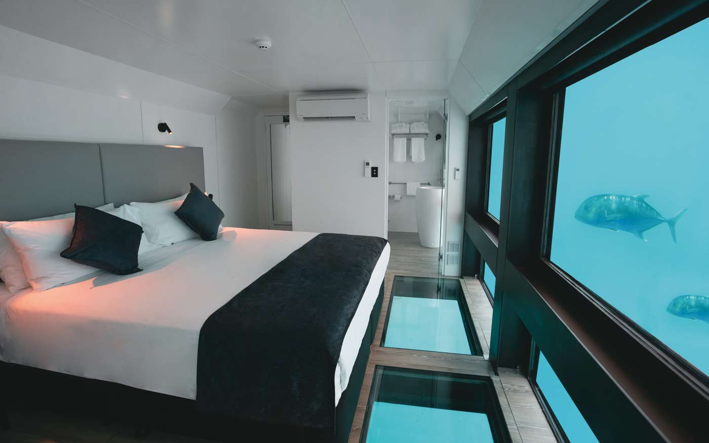 Reef Suites, Whitsundays / QLD