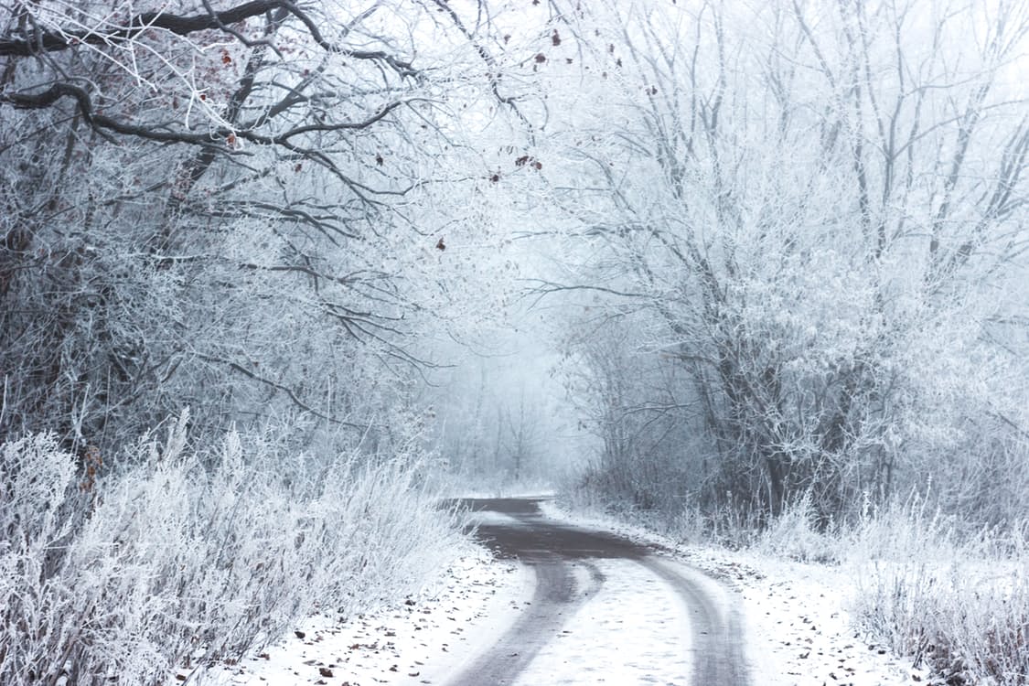 winter