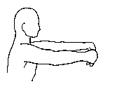 Forearm 2