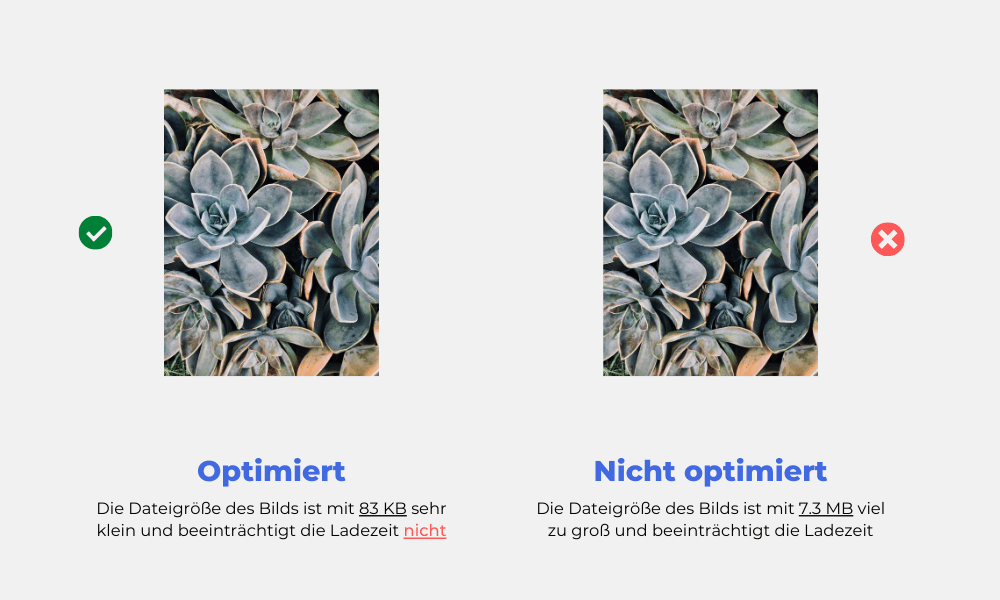 optimiertes-vs-nicht-optimiertes-bild