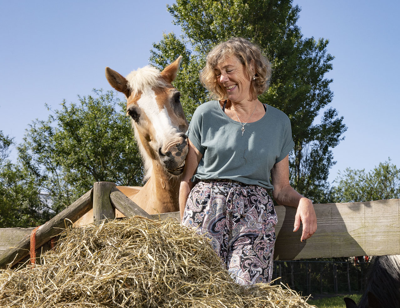 Paarden zijn mijn spiegel