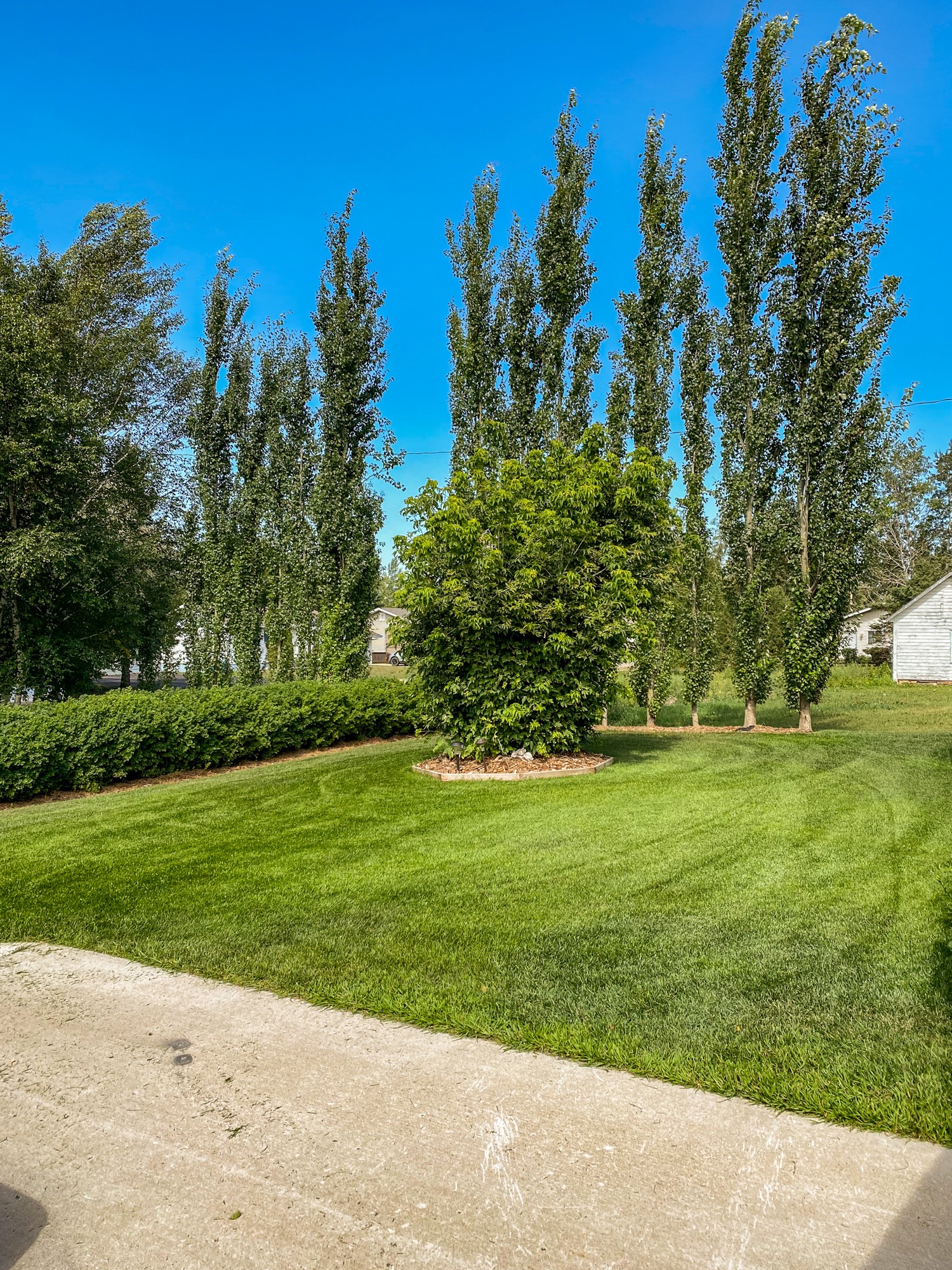 32 Newton Bay, Roblin Manitoba Ace Real Estate & Insurance Services