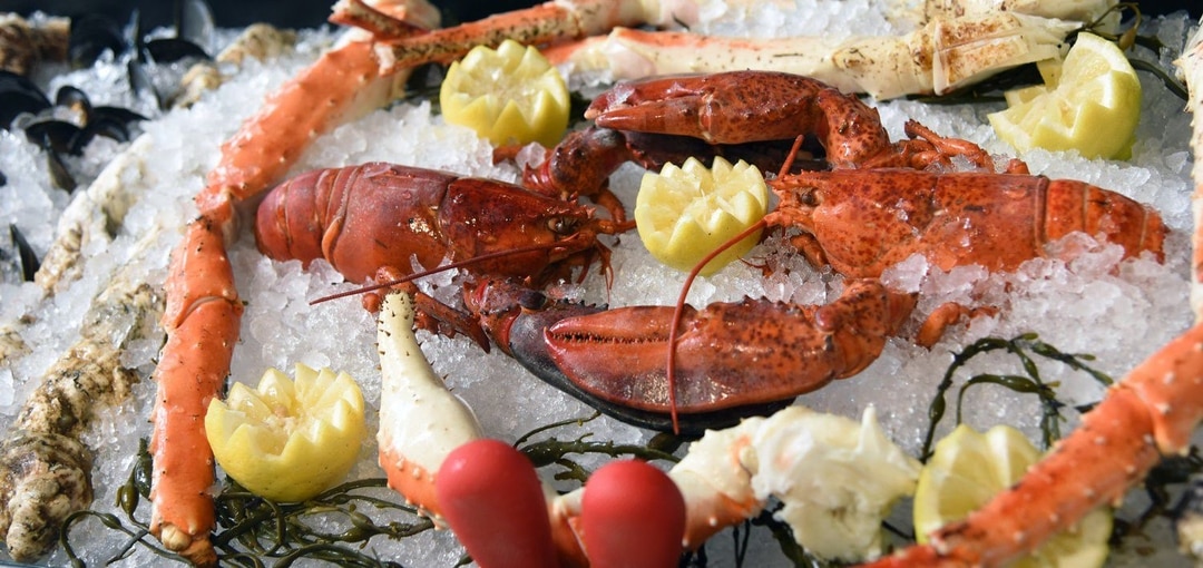 Photo Gallery River House Louisville