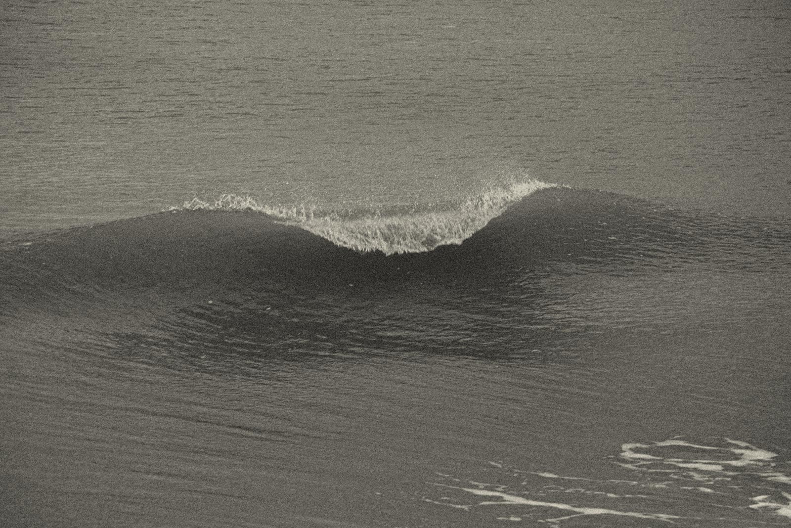 Ocean Wave