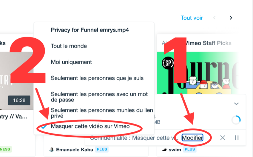 onglet pour masquer une vidéo sur Viméo