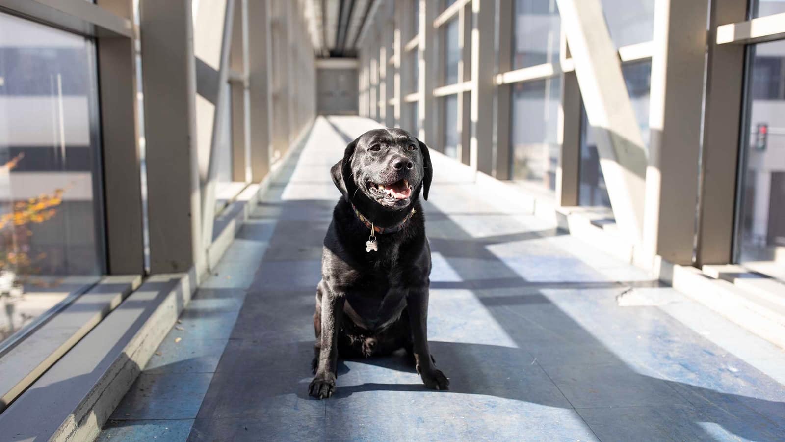 Waldvogel Commercial Properties Custom & Creative Real Estate