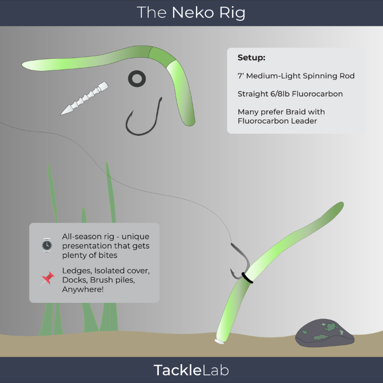 The Neko Rig for Bass Fishing