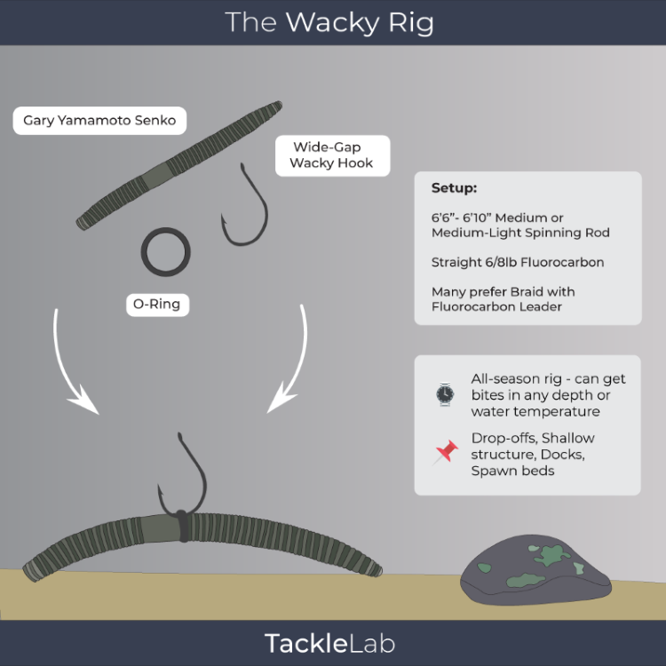 The Wacky Rig for Bass Fishing