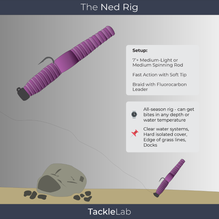 The Ned Rig for Bass Fishing
